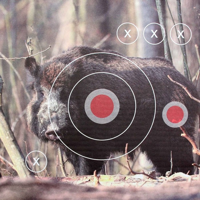 LANDMANN Zielscheiben, 25 Stück, Motiv Wildschwein